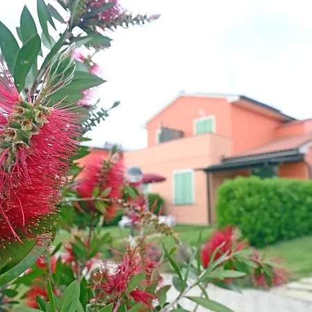 Rosa Dei Venti Vada